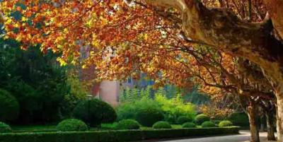 陜西郵電職業技術學院五年制大專2021年招生計劃