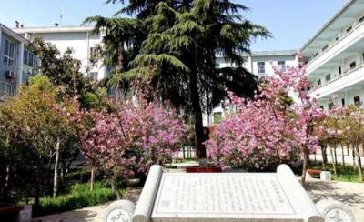 陜西能源職業(yè)技術(shù)學(xué)院五年制大專是幾專