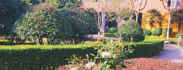 20210519173747954401.jpg 888888888.jpg