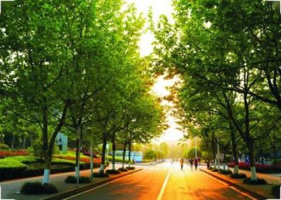 咸陽職業技術學院五年制大專2021年有哪些專業