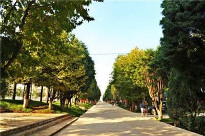 陜西航空職業技術學院五年制大專是幾專