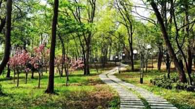 陜西航空職業技術學院五年制大專歷年招生錄取參考分數線