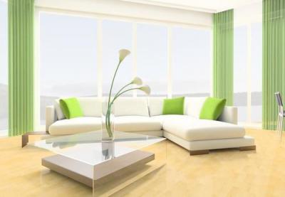 室內(nèi)設(shè)計(jì)技術(shù)專業(yè)