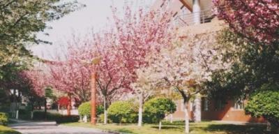 漢中職業(yè)技術(shù)學(xué)院五年制大專2021年招生簡章