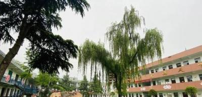 漢中職業(yè)技術(shù)學(xué)院五年制大專是幾專