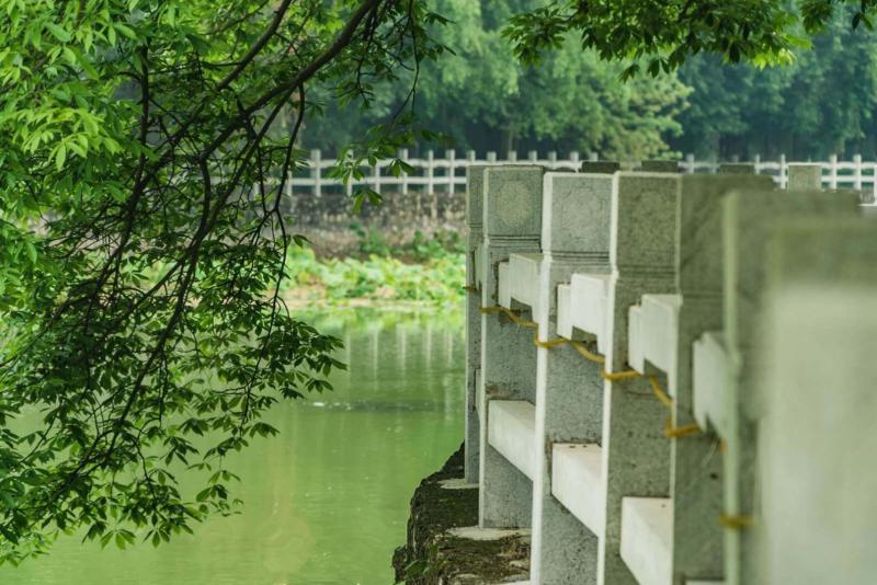 20210604160956121272.jpg 1.jpg