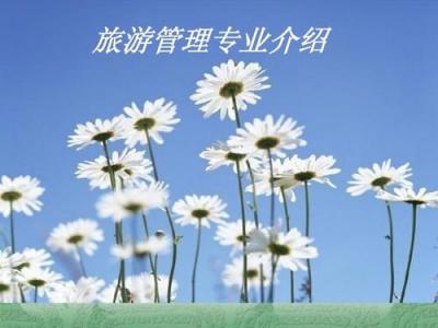旅游管理專業
