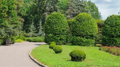 環境藝術設計專業