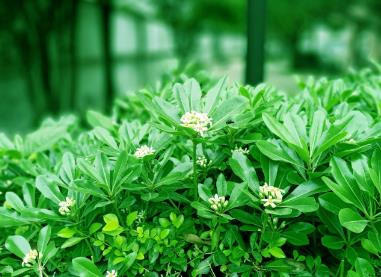 桂林山水職業(yè)學院好不好