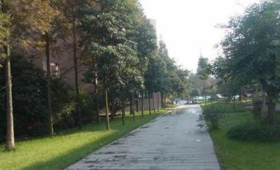 成都國演藝術學校2021年招生錄取分數線如何